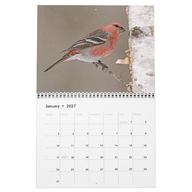 2013 Calendar of Birds (Jan 2027)