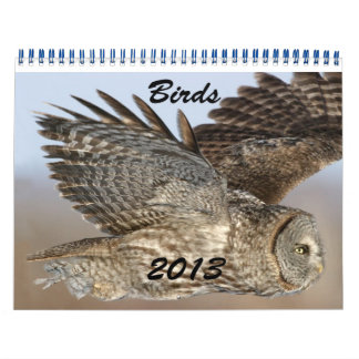2013 Calendar of Birds