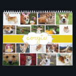 2013 Corgis! Calendar<br><div class="desc">A calendar for corgi lovers featuring some of the cutest photos of pembroke and cardigan welsh corgis ever!  Each page is filled with one huge season specific corgi photo and 8-10 smaller corgi photos</div>