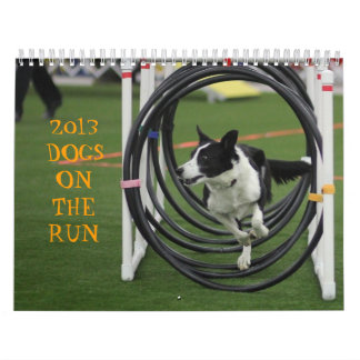 2013 Dogs on the Run Calendar