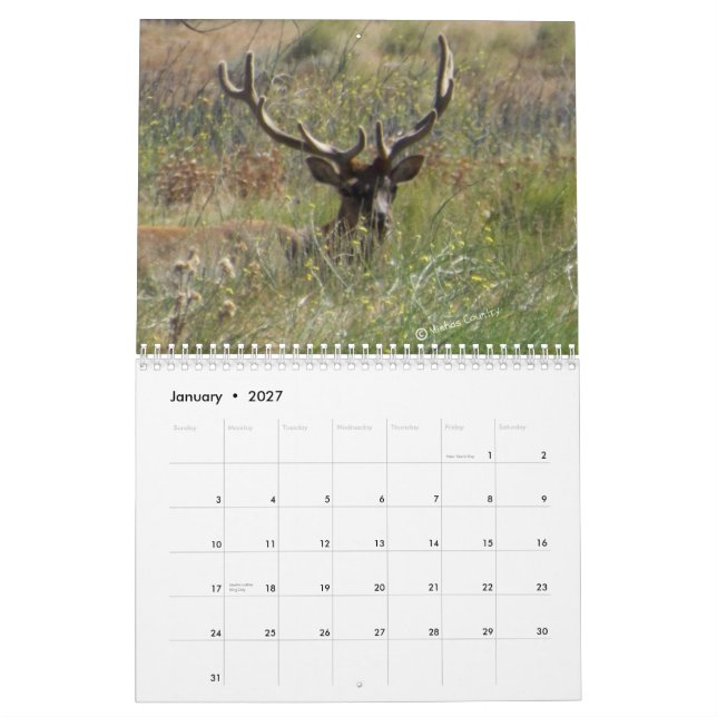 2013 Elk Calendar (Jan 2027)