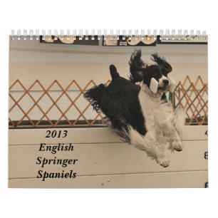 2013 English Springer Spaniels Calendar