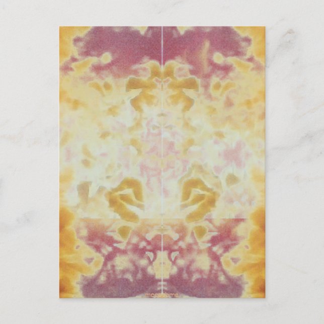 2013 Fire Reflection Postcard (Front)