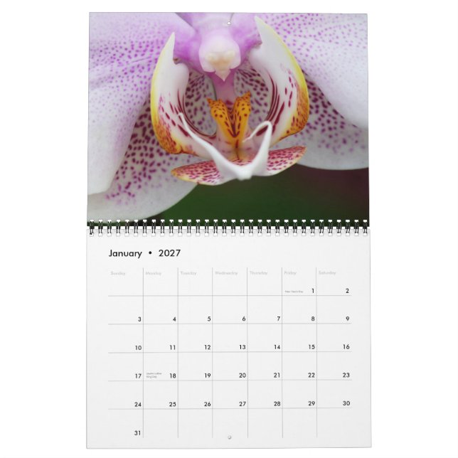 2013 FLORA CALENDAR BY MAYES | PHOTOS (Jan 2027)