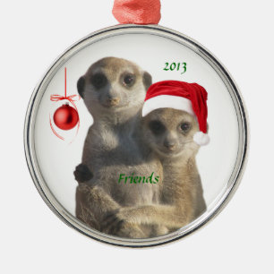 2013 Friends Ornament