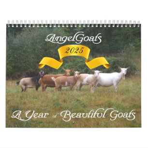 2013 Goat Calendar Beautiful Goats AngelGoats