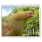 2013 HenCam Calendar