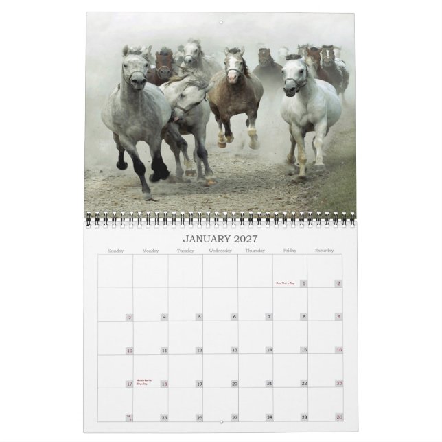 2013 Horse calendar (Jan 2027)