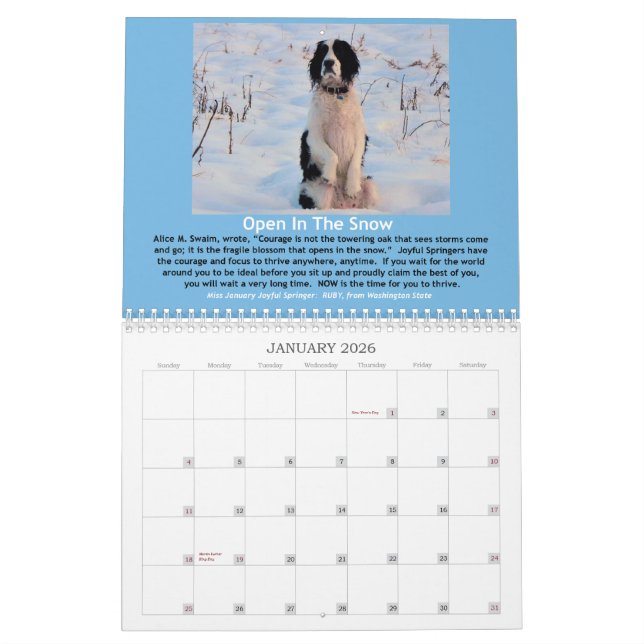 2013 Joyful Springer 12 Month Calendar (Jan 2026)