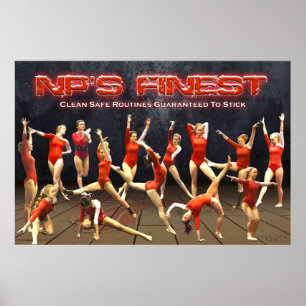2013 New Palestine Gymnastics Poster
