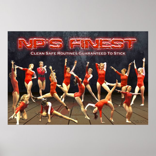 2013 New Palestine Gymnastics Poster (Front)
