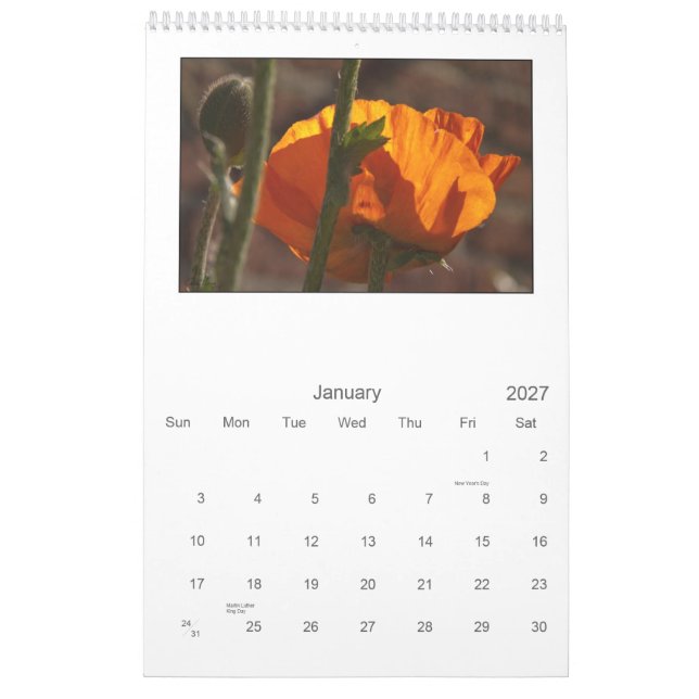 2013 - poppy calendar (Jan 2027)