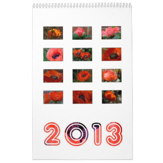 2013 - poppy calendar