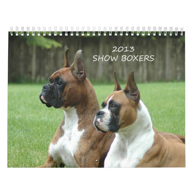 2013 Show Boxer Calendar (Cover)