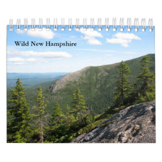 2013 Small Wild New Hampshire Wall Calendar