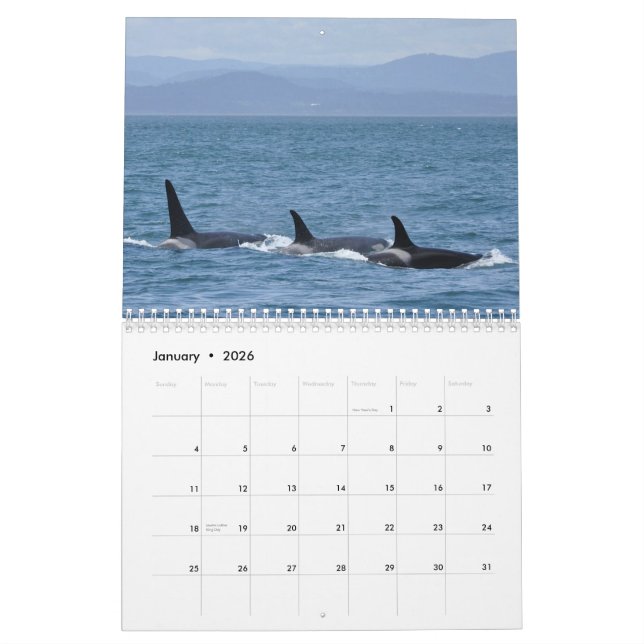 2013 Southern Resident Killer Whale Calendar (Jan 2026)