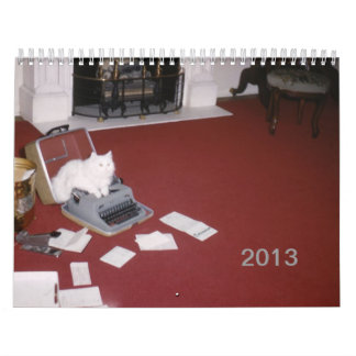 2013 Wall Calendar (new edition)