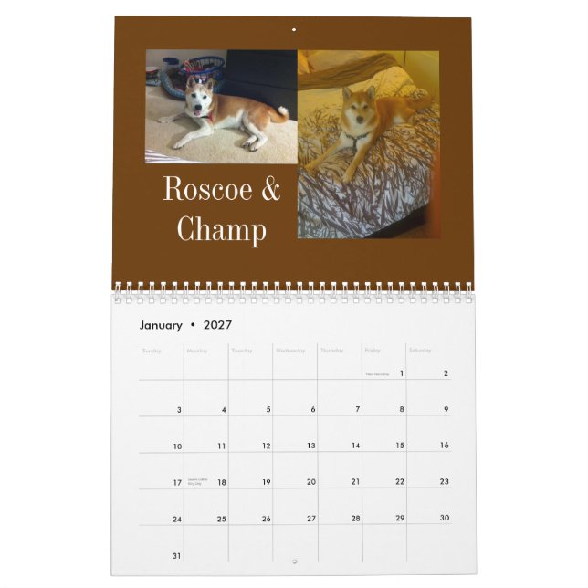 2013 Washington D.C. Shiba Inu Calendar (Jan 2027)