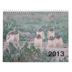 2013 Wells Ranch Calendar