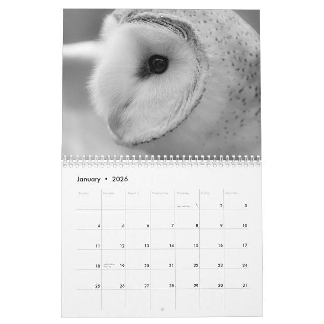 2013 WILDLIFE CALENDAR BY MAYES | PHOTOS (Jan 2026)