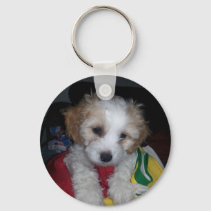 2014-07-30 23.50.12.jpg key ring