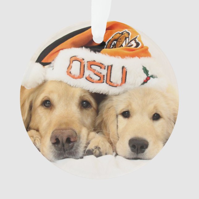 2014-15 ParkerPup & Reser Ornament (Front)