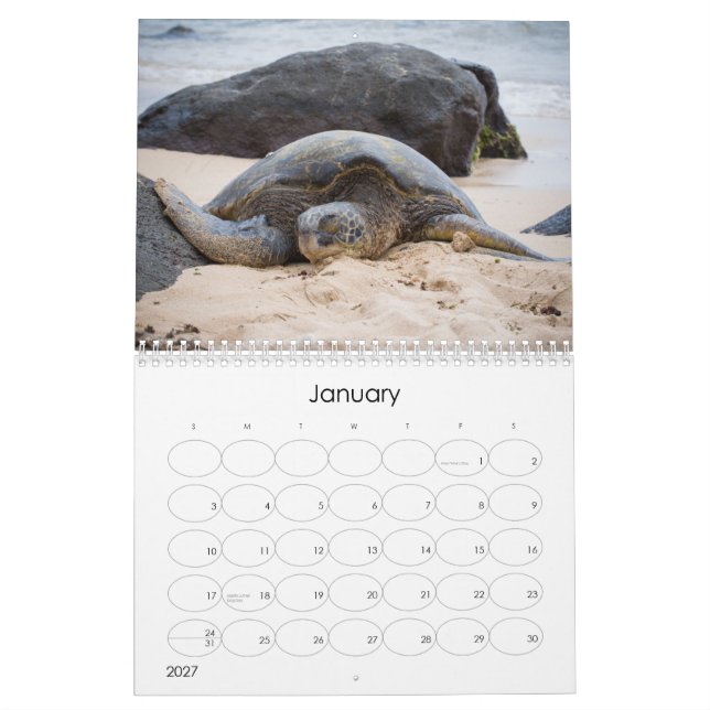 2014 Amy Stonebraker Photography Calendar (Jan 2027)