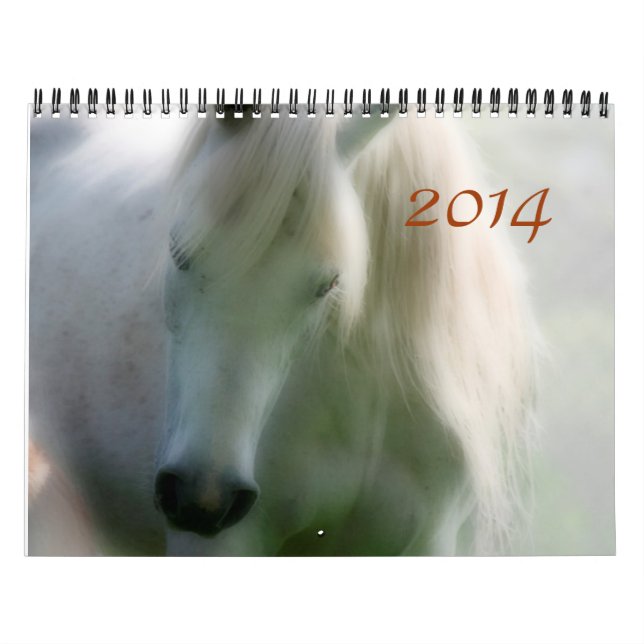 2014 Arabians - Joy of life Calendar (Cover)