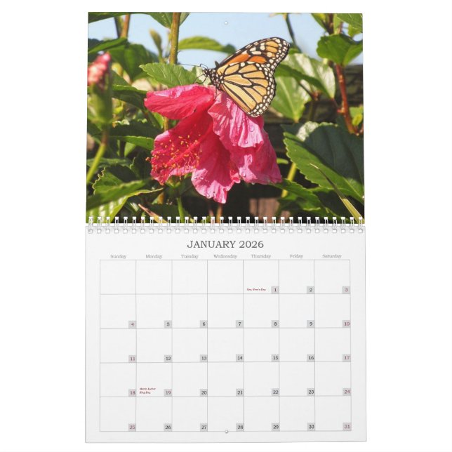 2014 Butterfly Calendar (Jan 2026)