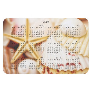 2014 Calendar Pretty Seashells Magnet