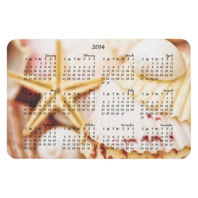 2014 Calendar Pretty Seashells Magnet (Horizontal)