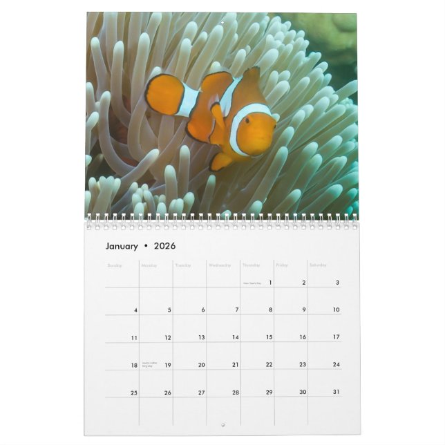 2014 Coral Sea Calendar (Jan 2026)