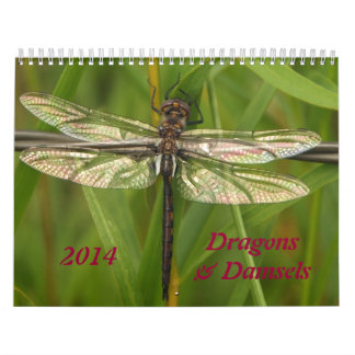 2014 Dragonflies and Damselflies Calendar