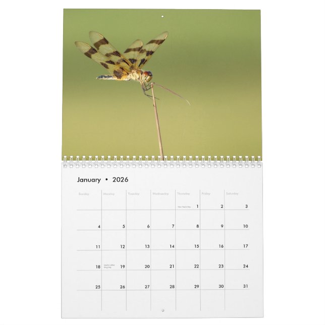 2014 Dragonflies and Damselflies Calendar (Jan 2026)