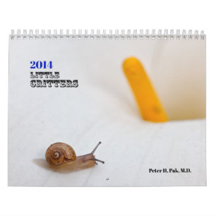 2014 Little Critters Calendar (Medium)