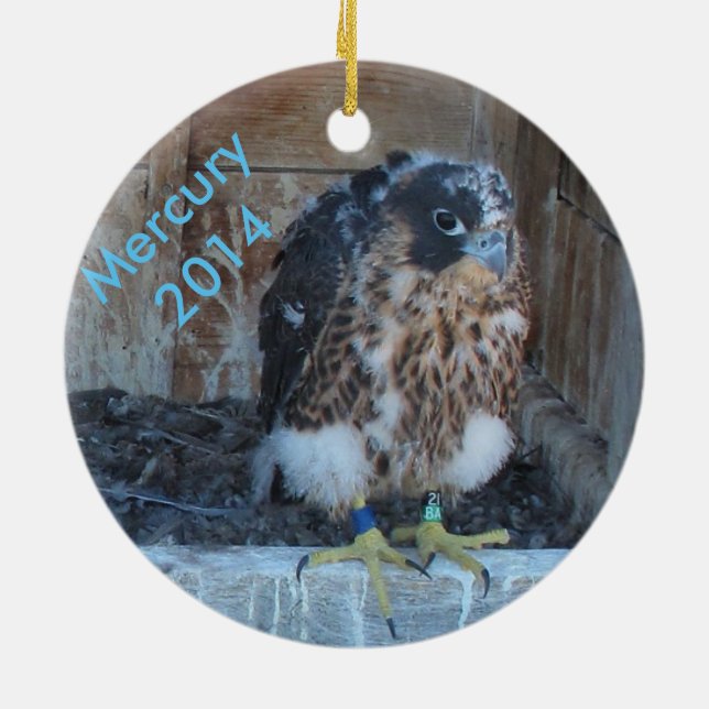 2014 Mercury Ornament (Back)