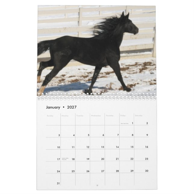 2014 Mountain Horse Calendar (Jan 2027)
