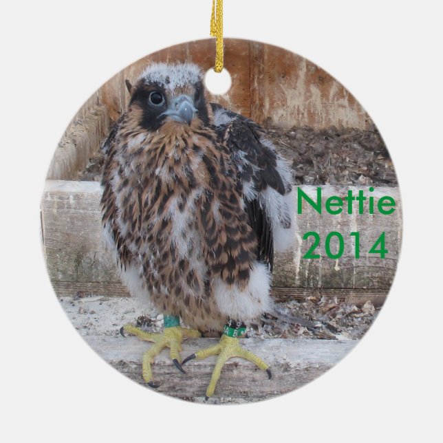 2014 Nettie Ornament (Back)