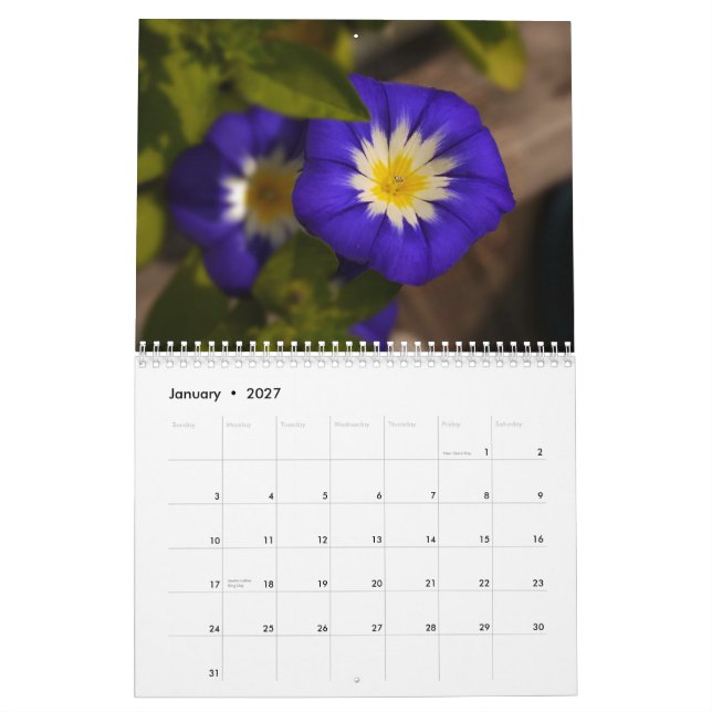 2014 Rainbow of flowers Calendar (Jan 2027)