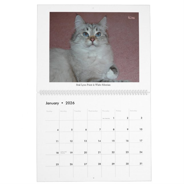 2014 Siberians Cats & Kittens Calendar (Jan 2026)