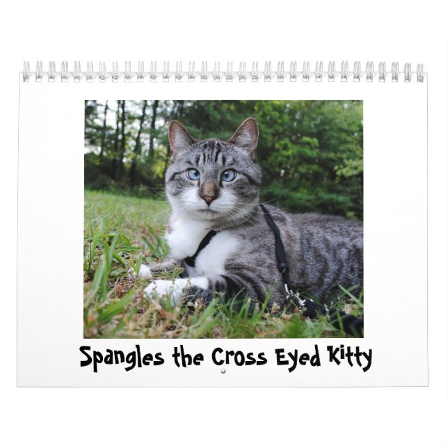 2014 Spangles Calendar (Cover)