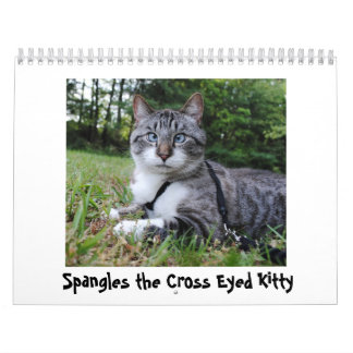 2014 Spangles Calendar