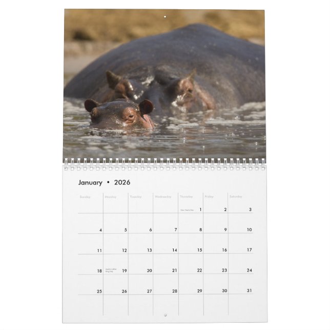 2015 Africa Calendar by McDonald Wildlife (Jan 2026)