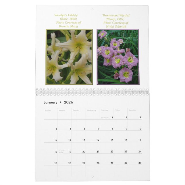 2015 AHS Daylily Calendar (Jan 2026)