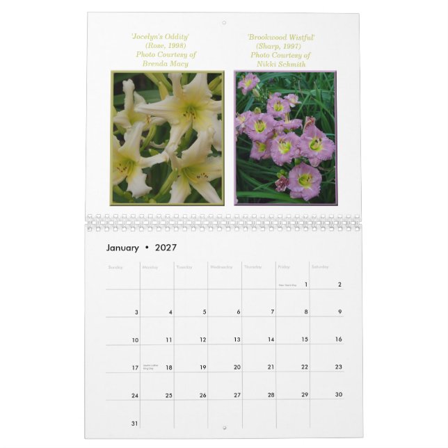 2015 AHS Daylily Calendar (Jan 2027)