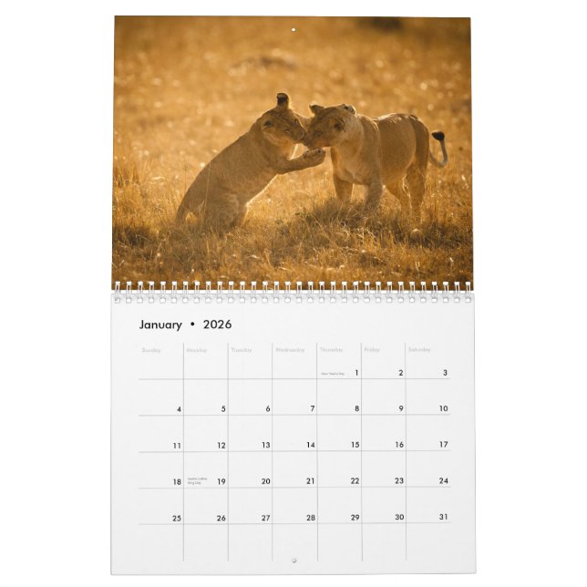 2015 Baby Animals by McDonald Wildlife Photography Calendar (Jan 2026)