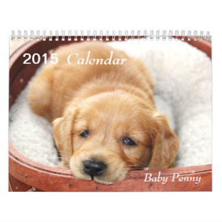 2015 Baby Penny Calendar