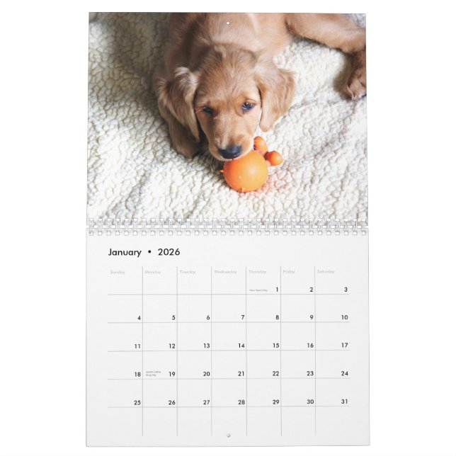2015 Baby Penny Calendar (Jan 2026)