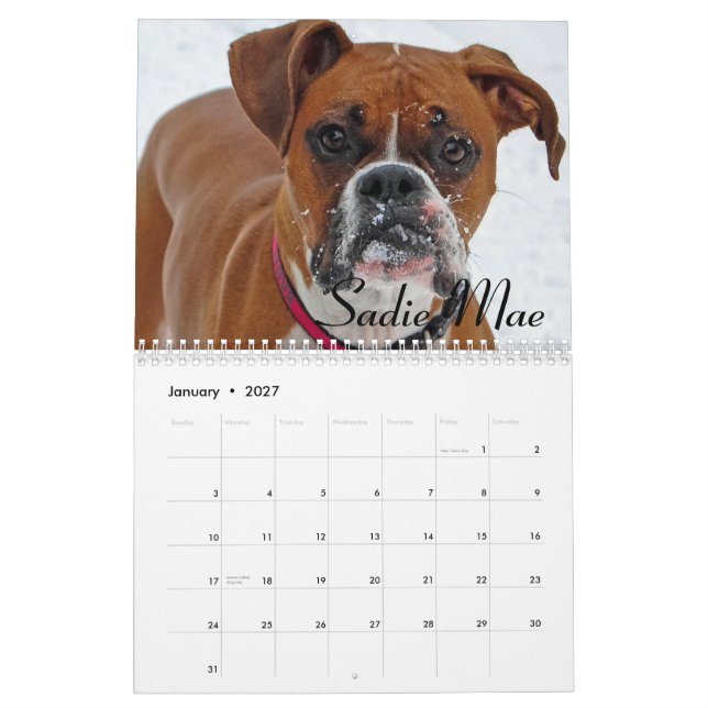 2015 Boxer Calendar (Jan 2027)