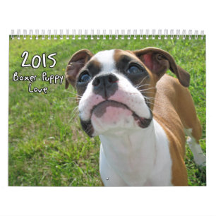 2015 Boxer Puppy Love Calendar